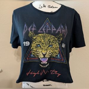 Def Leppard Graphic 1981 High 'N' Dry Women's Cropped Top•Black•Medium•🖤🐆